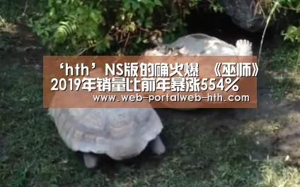 ‘hth’NS版的确火爆 《巫师》2019年销量比前年暴涨554%(图3) 华体会