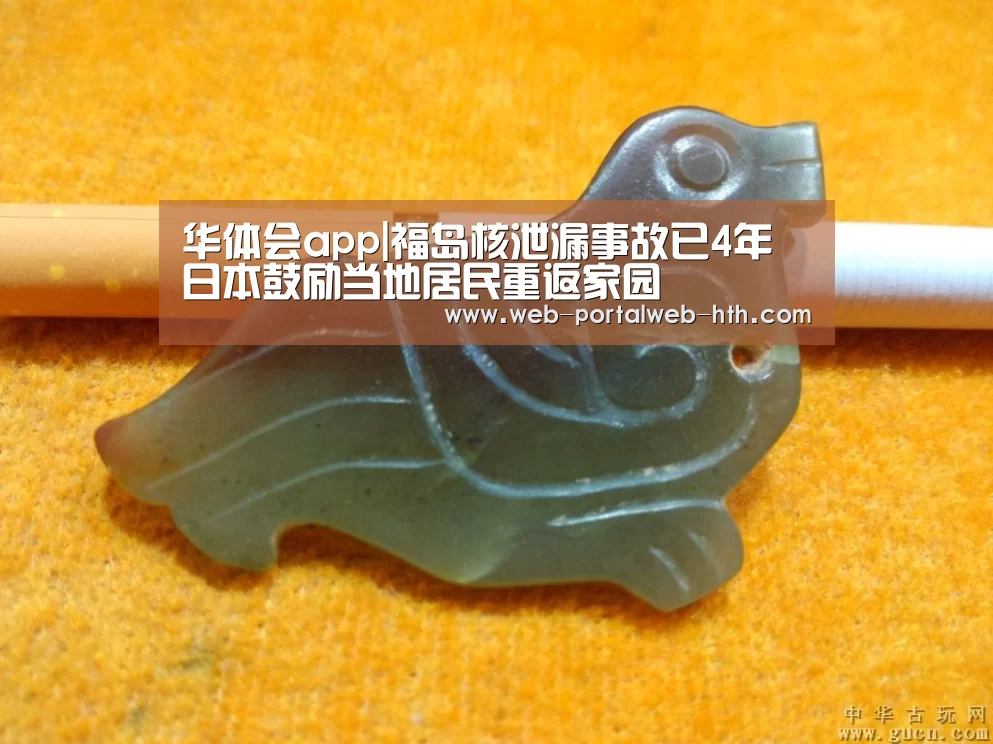 华体会app|福岛核泄漏事故已4年 日本鼓励当地居民重返家园(图3)