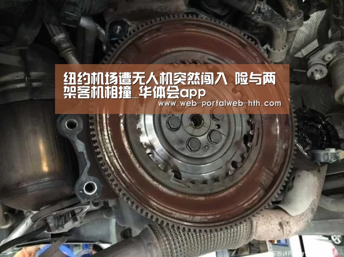 华体会