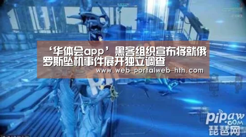 ‘华体会app’黑客组织宣布将就俄罗斯坠机事件展开独立调查(图3) 华体会app